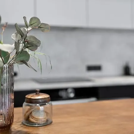 Апартаменты Luxury Loft In Таллин