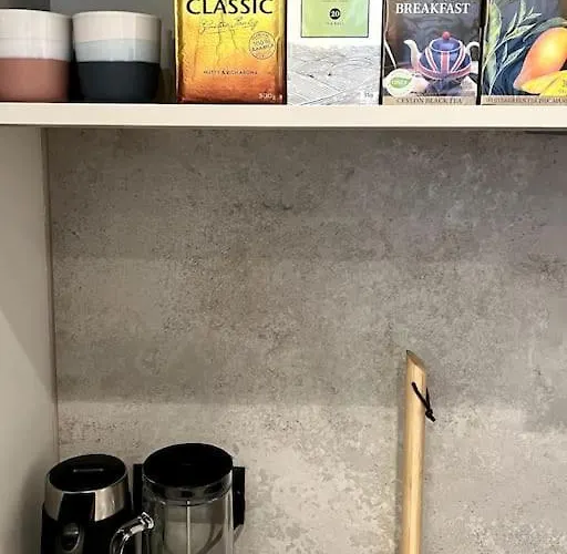 Luxury Loft In טאלין