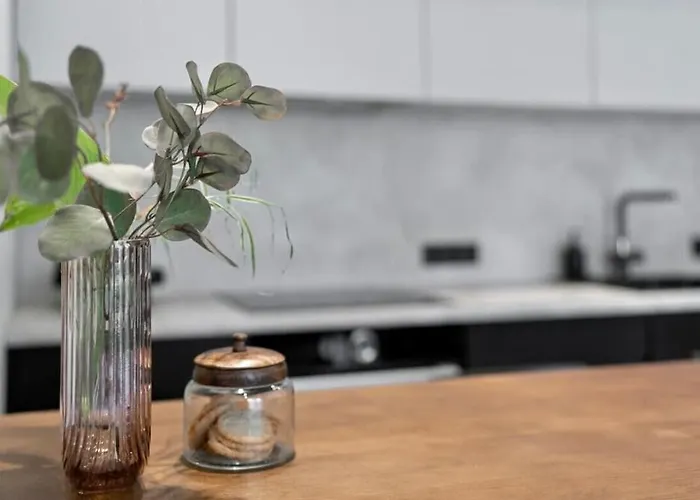 Appartement Luxury Loft In Tallinn