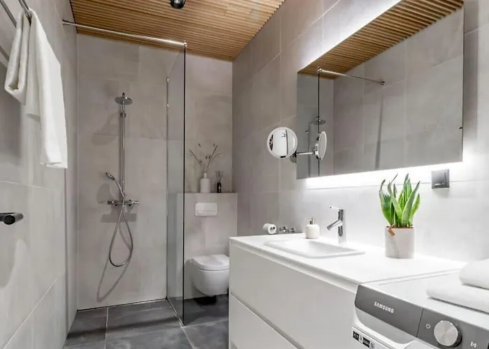 Luxury Loft In Appartement *