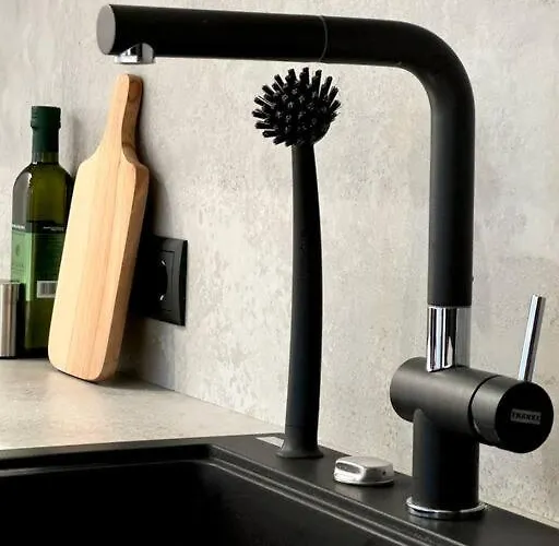 公寓 Luxury Loft In 塔林