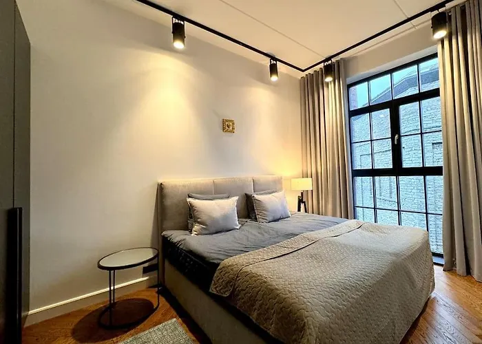 Luxury Loft In 公寓