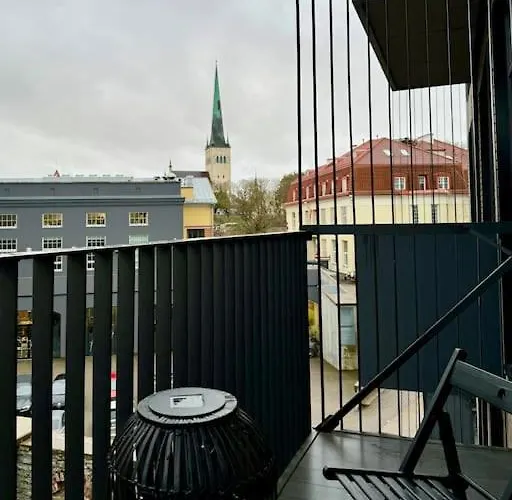 公寓 Luxury Loft In 塔林