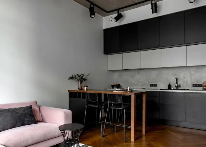 公寓 Luxury Loft In *